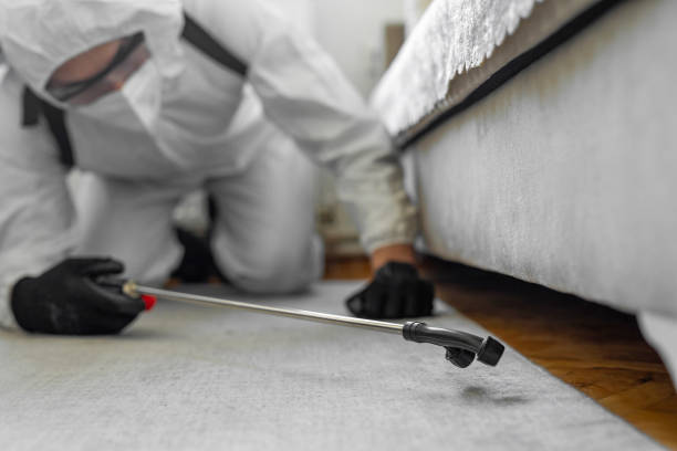 Professional Termite Control technician working in Buxton, NC